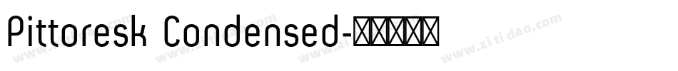 Pittoresk Condensed字体转换